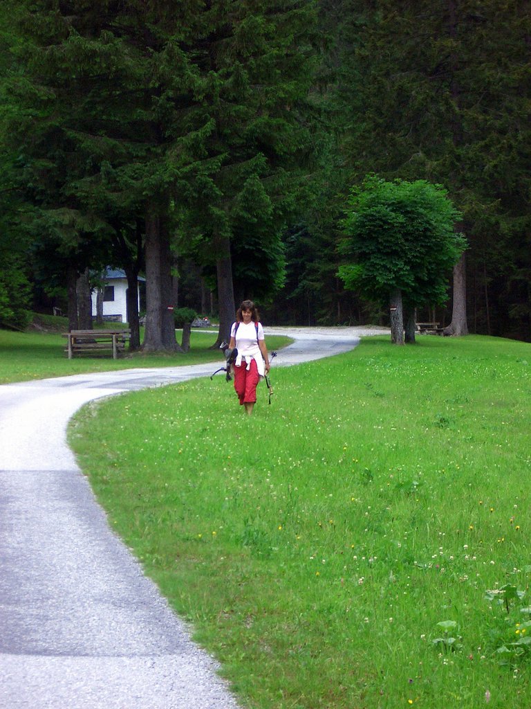 CIMG6027.JPG