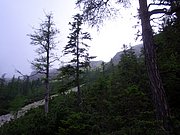 CIMG5905.JPG