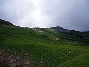 CIMG5957.JPG