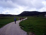 CIMG5975.JPG