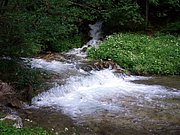 CIMG6023.JPG