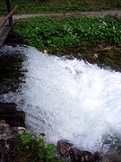 CIMG6026.JPG