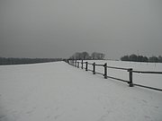 P1240117.JPG