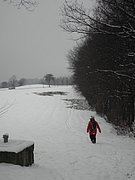 P1240127.JPG