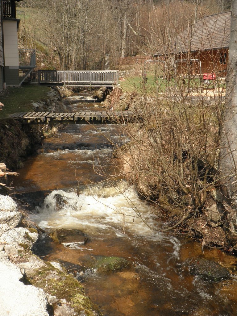 P4040007.JPG
