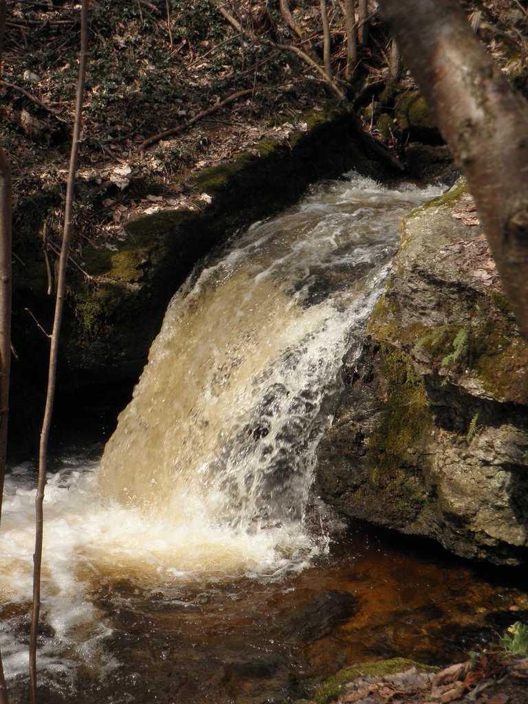 P4040013.JPG
