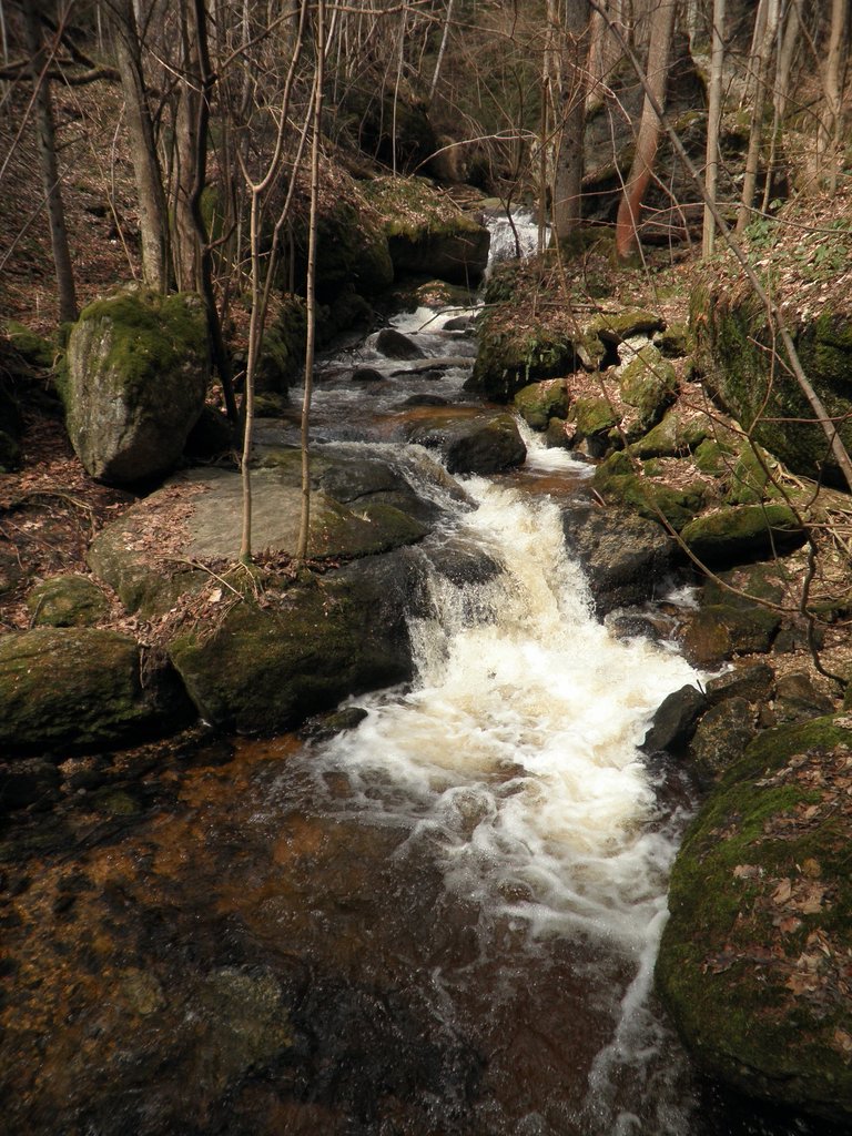 P4040018.JPG