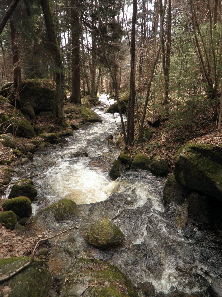 P4040019.JPG