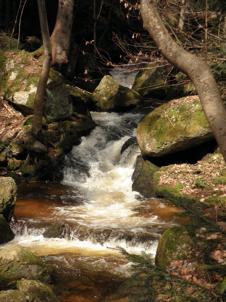 P4040036.JPG
