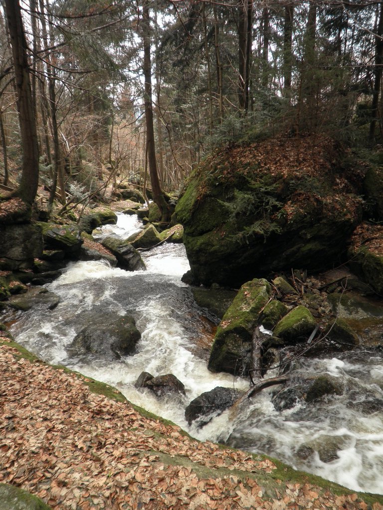 P4040043.JPG