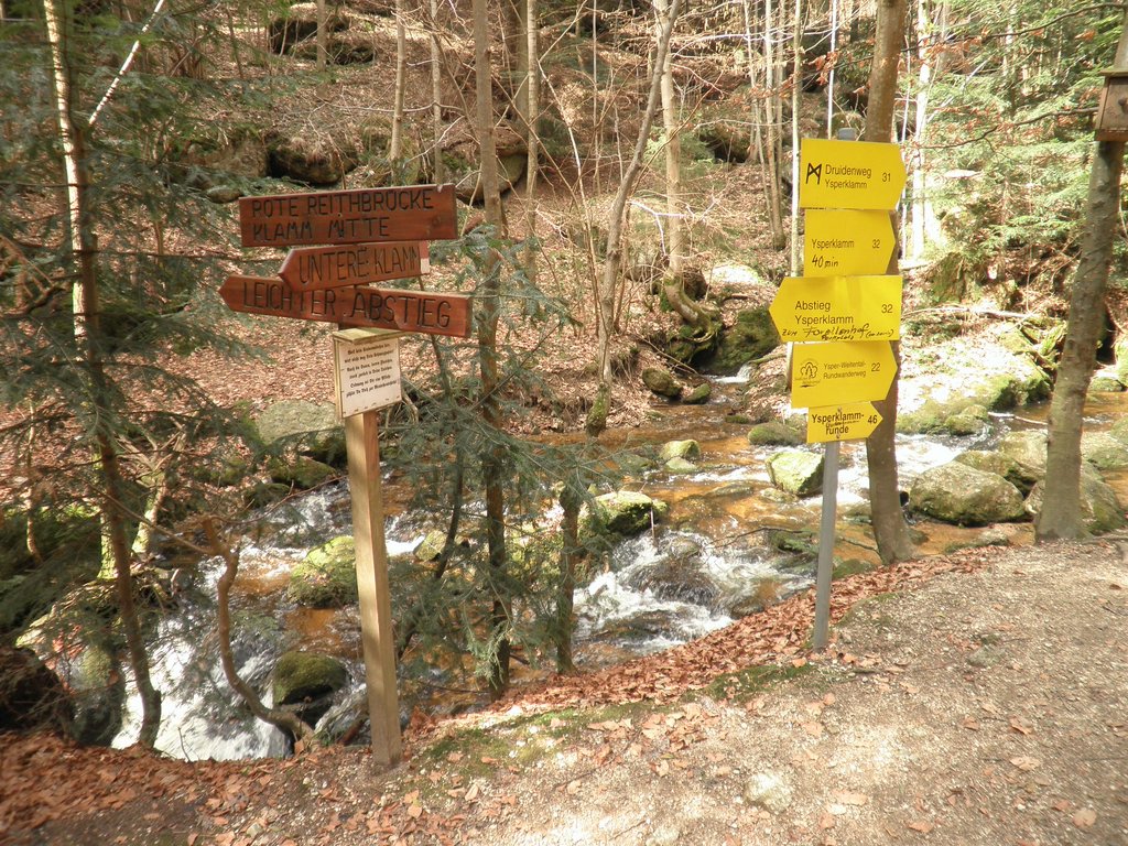 P4040052.JPG