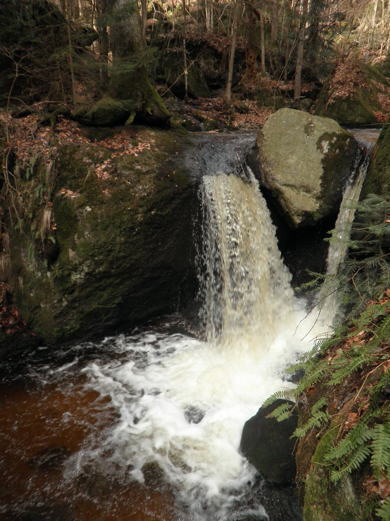 P4040058.JPG
