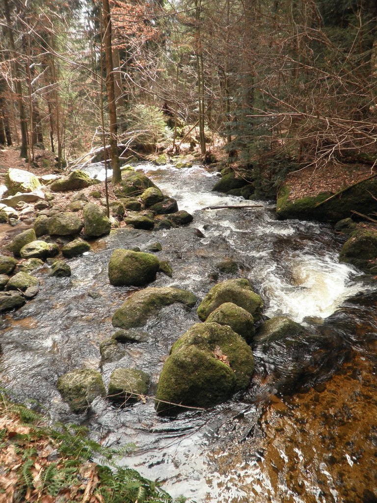 P4040059.JPG