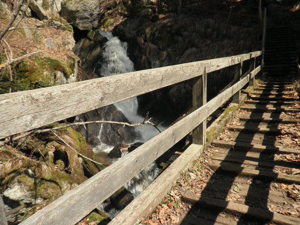 P4040080.JPG