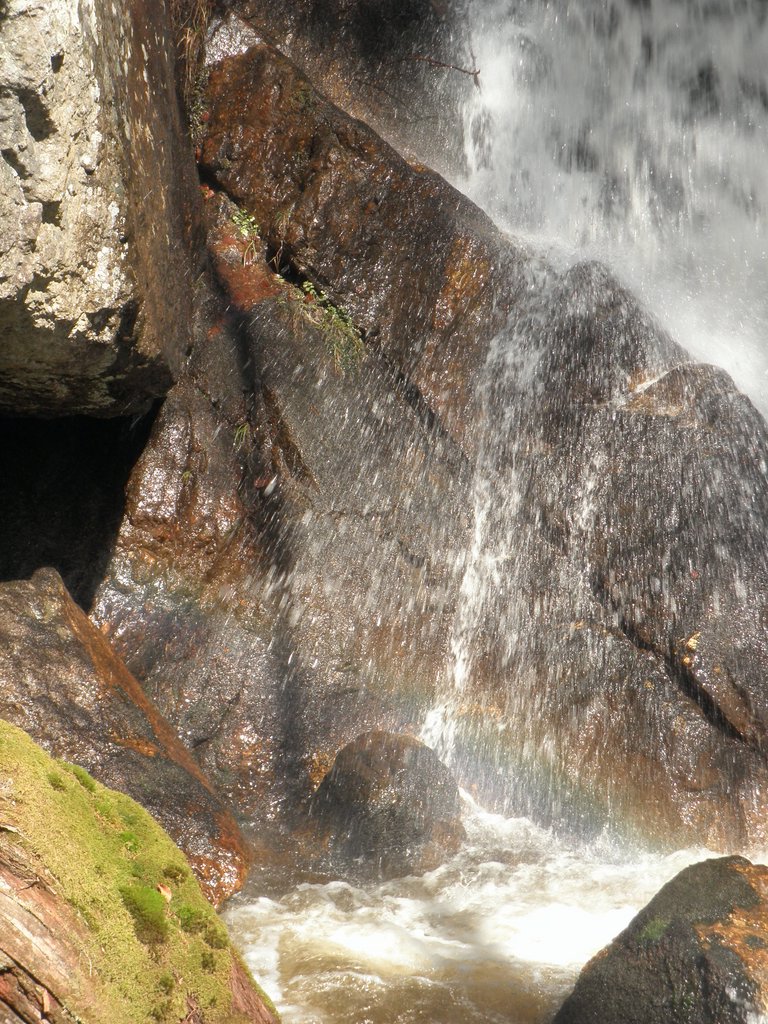 P4040082.JPG