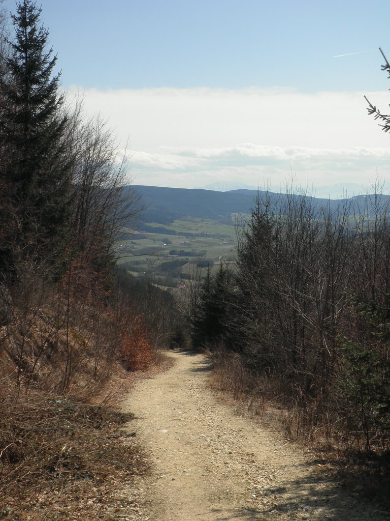 P4040096.JPG