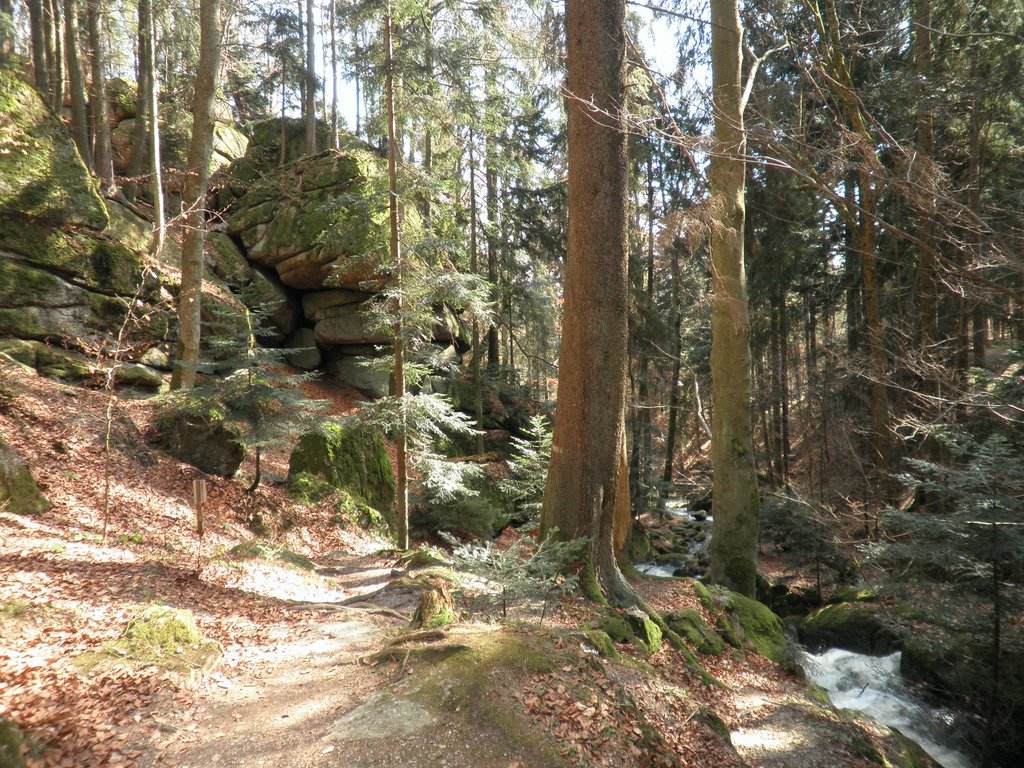 P4040105.JPG