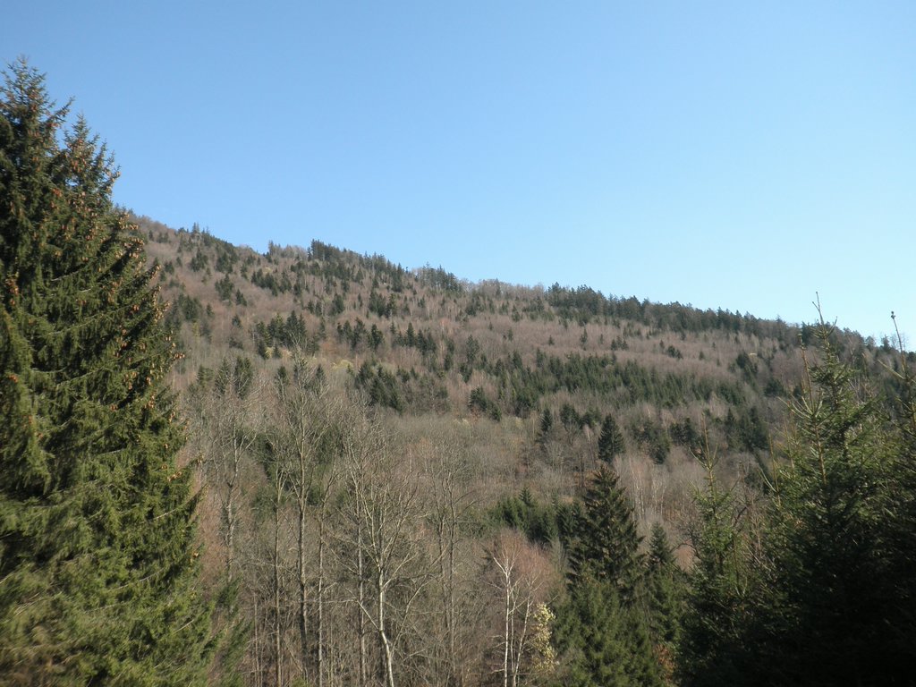 P4040111.JPG