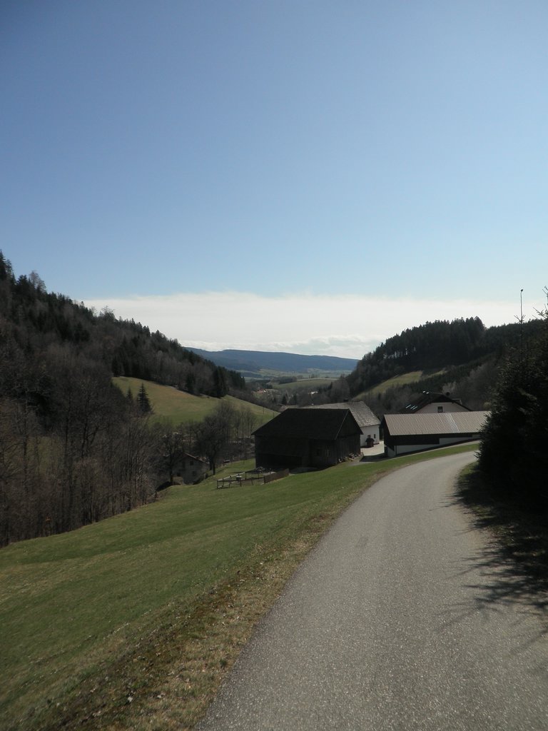 P4040113.JPG