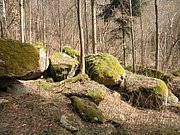 P4040016.JPG