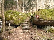 P4040017.JPG