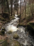P4040019.JPG