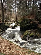 P4040043.JPG