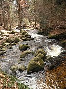 P4040059.JPG