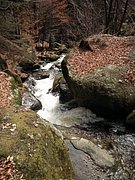 P4040061.JPG