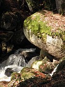 P4040067.JPG