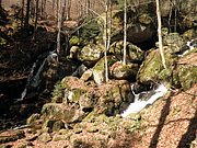 P4040069.JPG