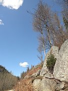P4040098.JPG
