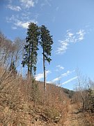 P4040101.JPG