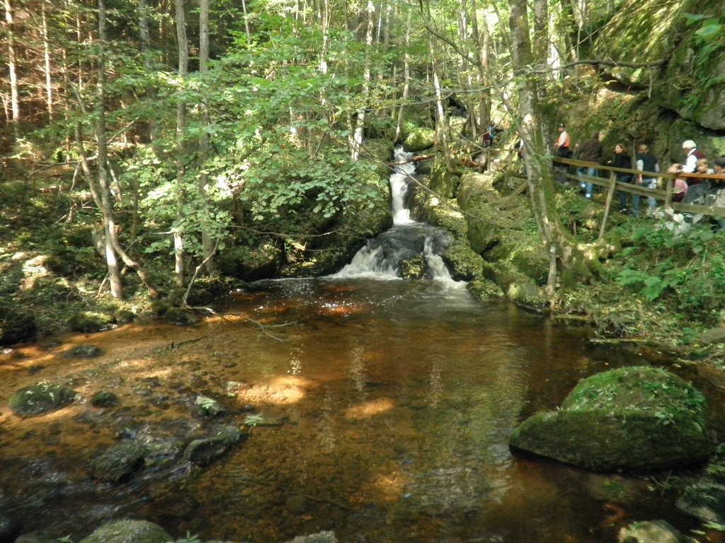P9180010.JPG