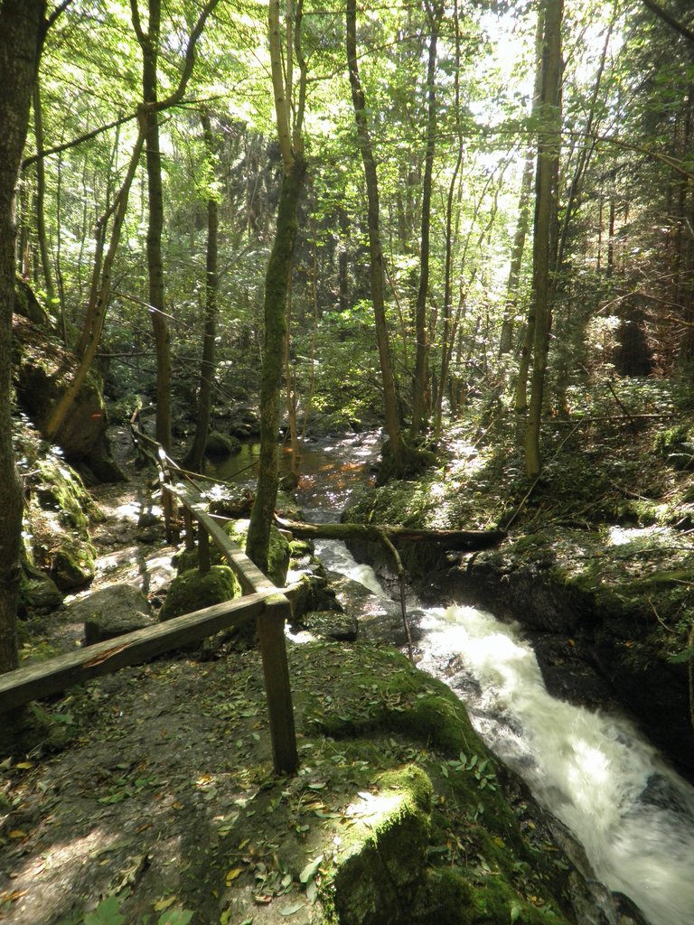 P9180013.JPG