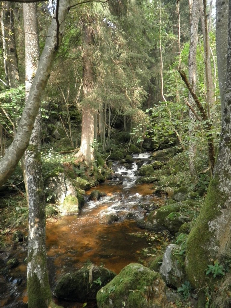 P9180015.JPG