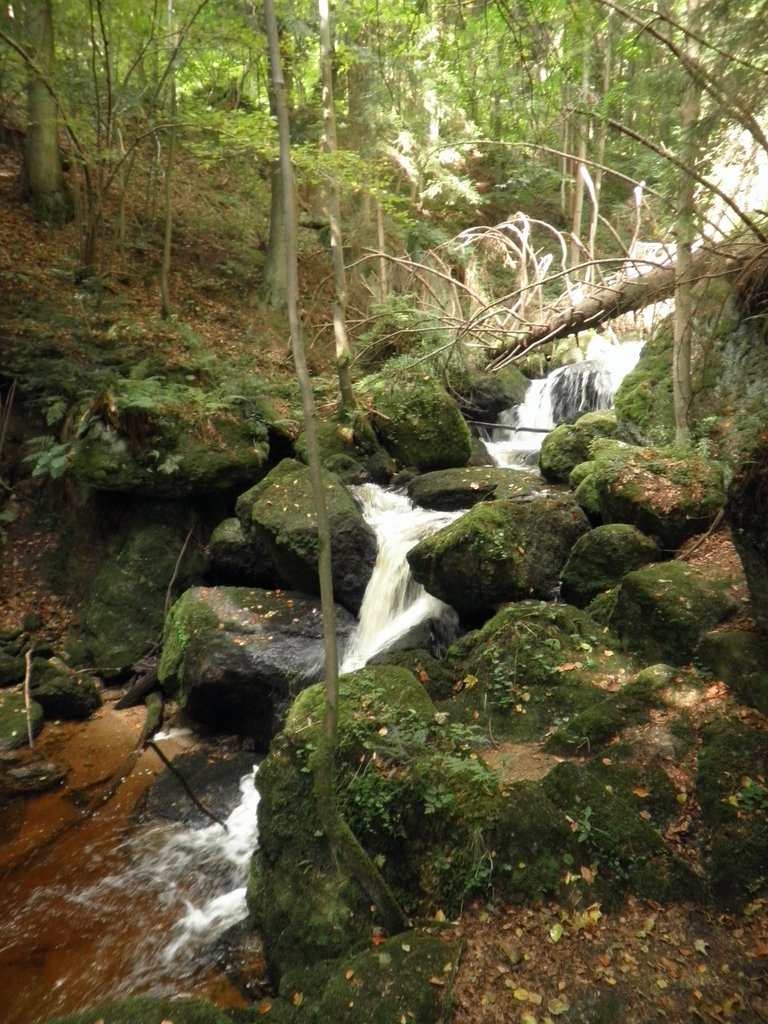 P9180022.JPG