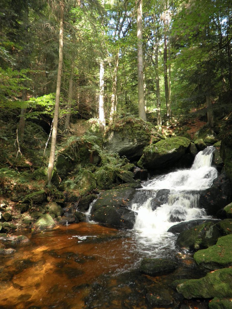 P9180024.JPG