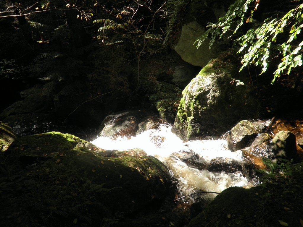 P9180026.JPG