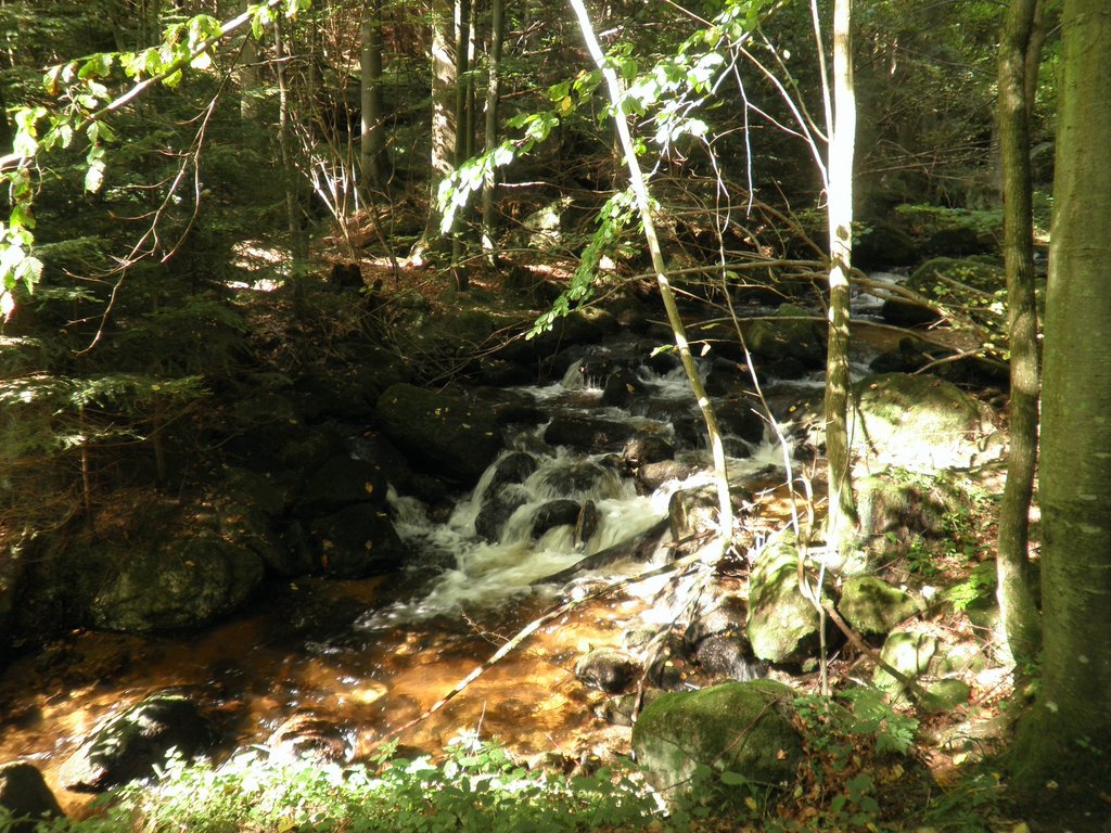P9180027.JPG