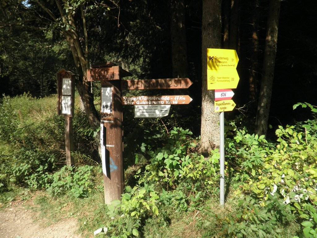 P9180051.JPG