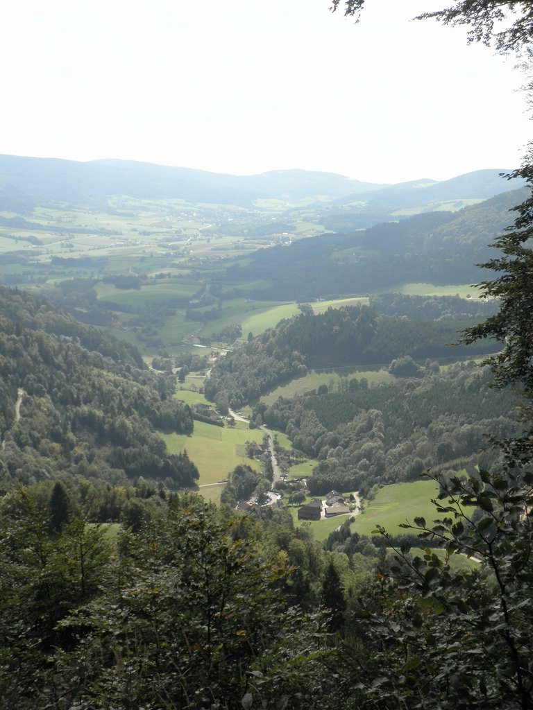 P9180055.JPG