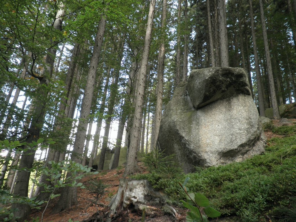 P9180058.JPG