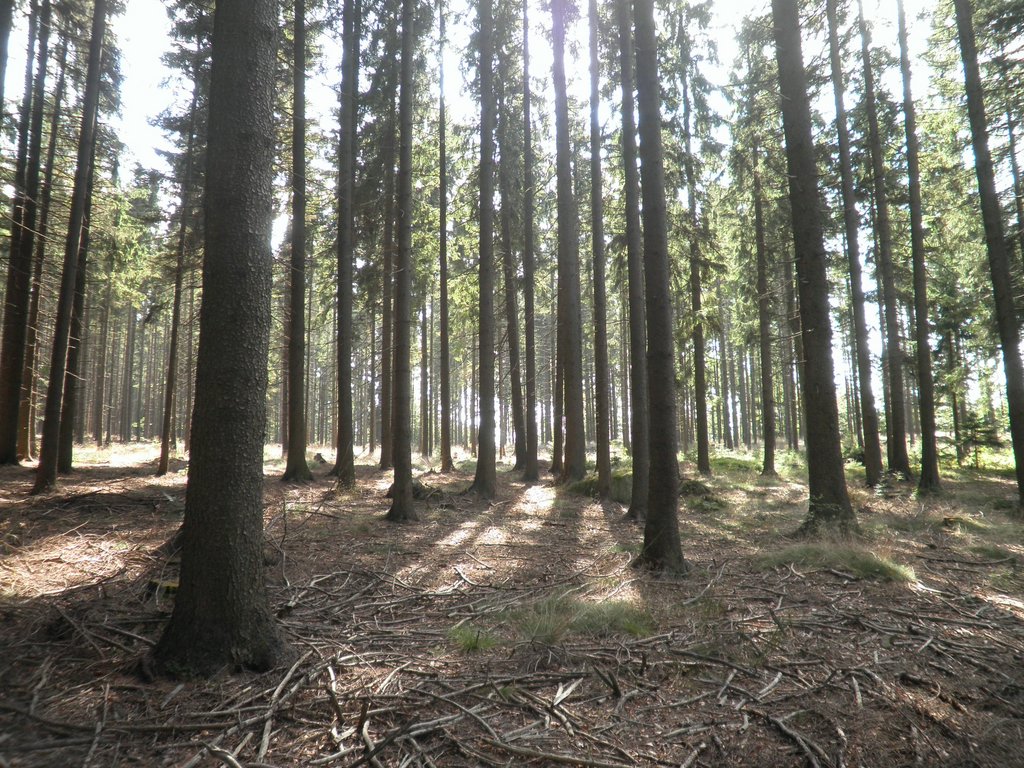 P9180067.JPG
