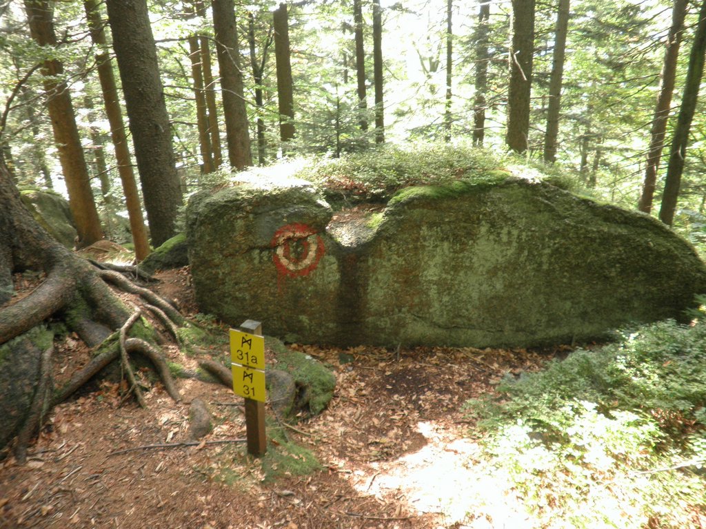 P9180080.JPG