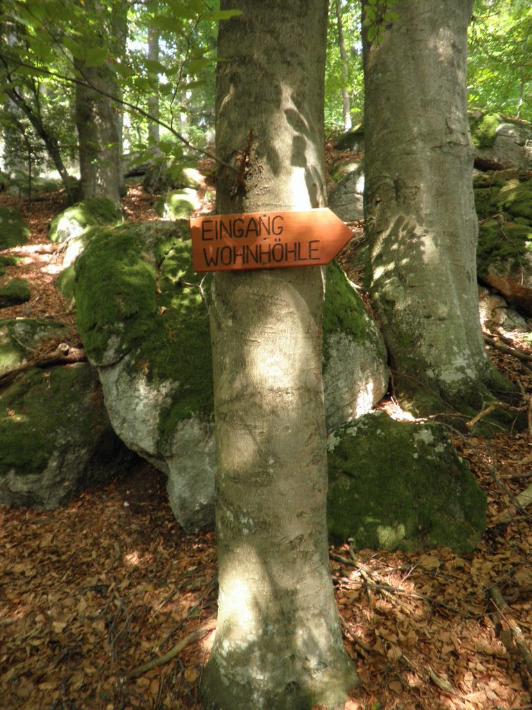 P9180084.JPG