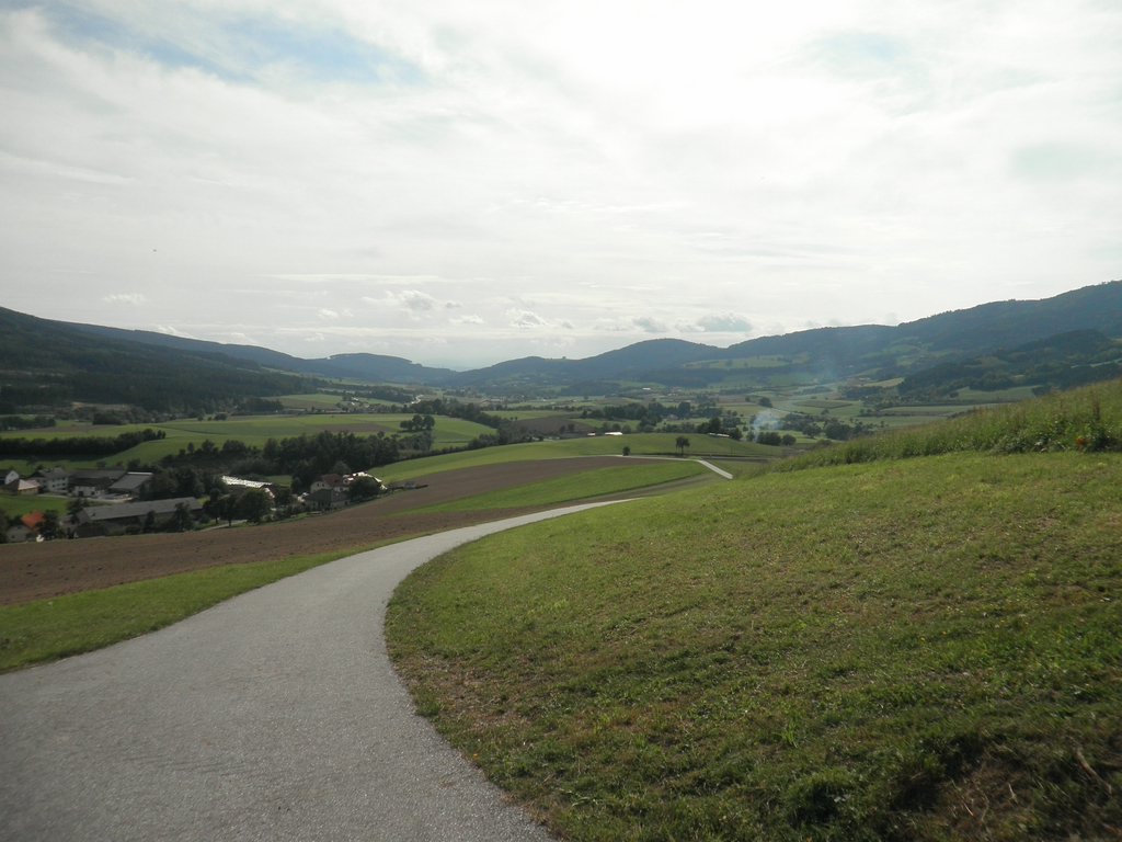 P9180091.JPG