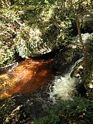 P9180007.JPG