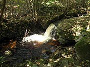 P9180009.JPG