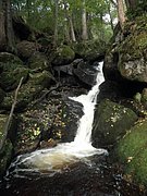 P9180011.JPG